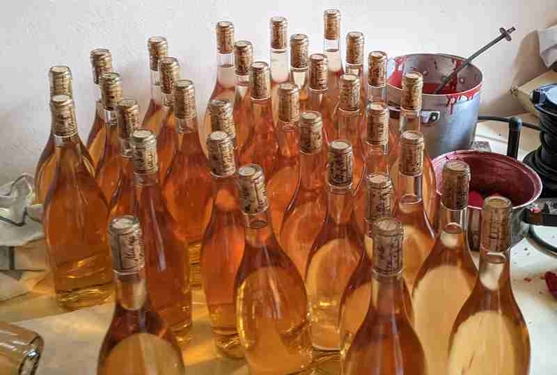 PXL_20250304_093020170--