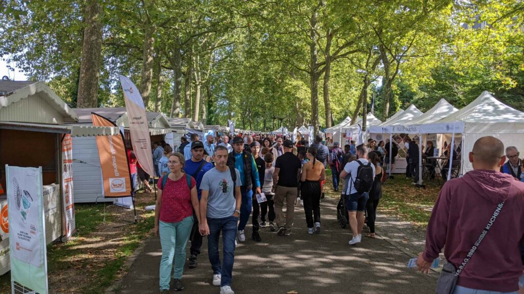 PXL_20230902_090443541.MP-2